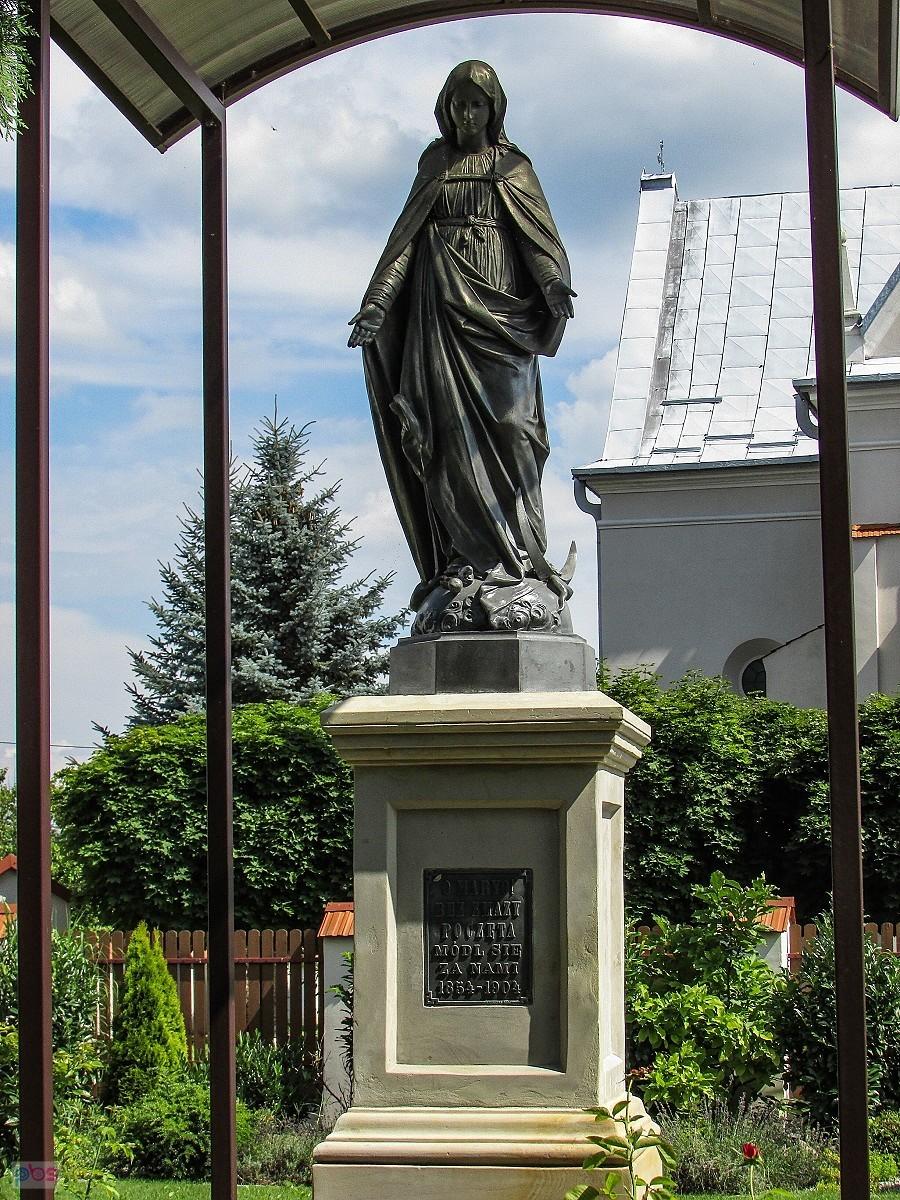 Solecka Immaculata
