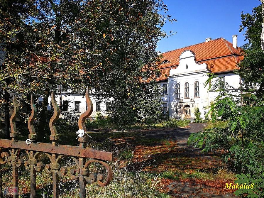 Pałac w Kujawach