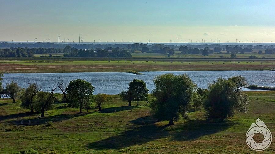 przez Odrę spojrzenie na brzeg niemiecki z okolicy bunkrów przy Gozdowicach