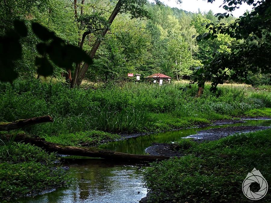 kolejne wiaty w CedyńskmPK, takie ukryte po lasach