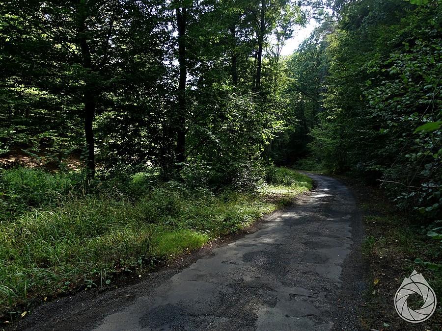 śródleśna droga na Stare Łysogórki
