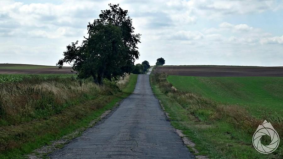 pofalowana droga nad jezioro Morzycko