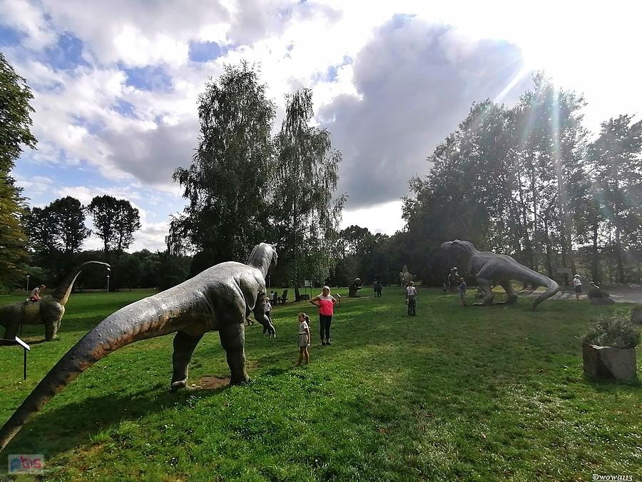 Dino na "Rzęsie"