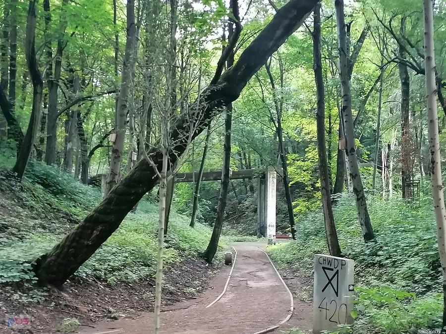 Park Ludowy po "rewitalizacji"