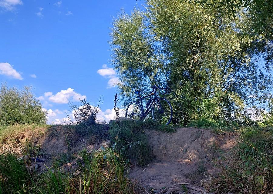 Ze skarpy nie zjechał