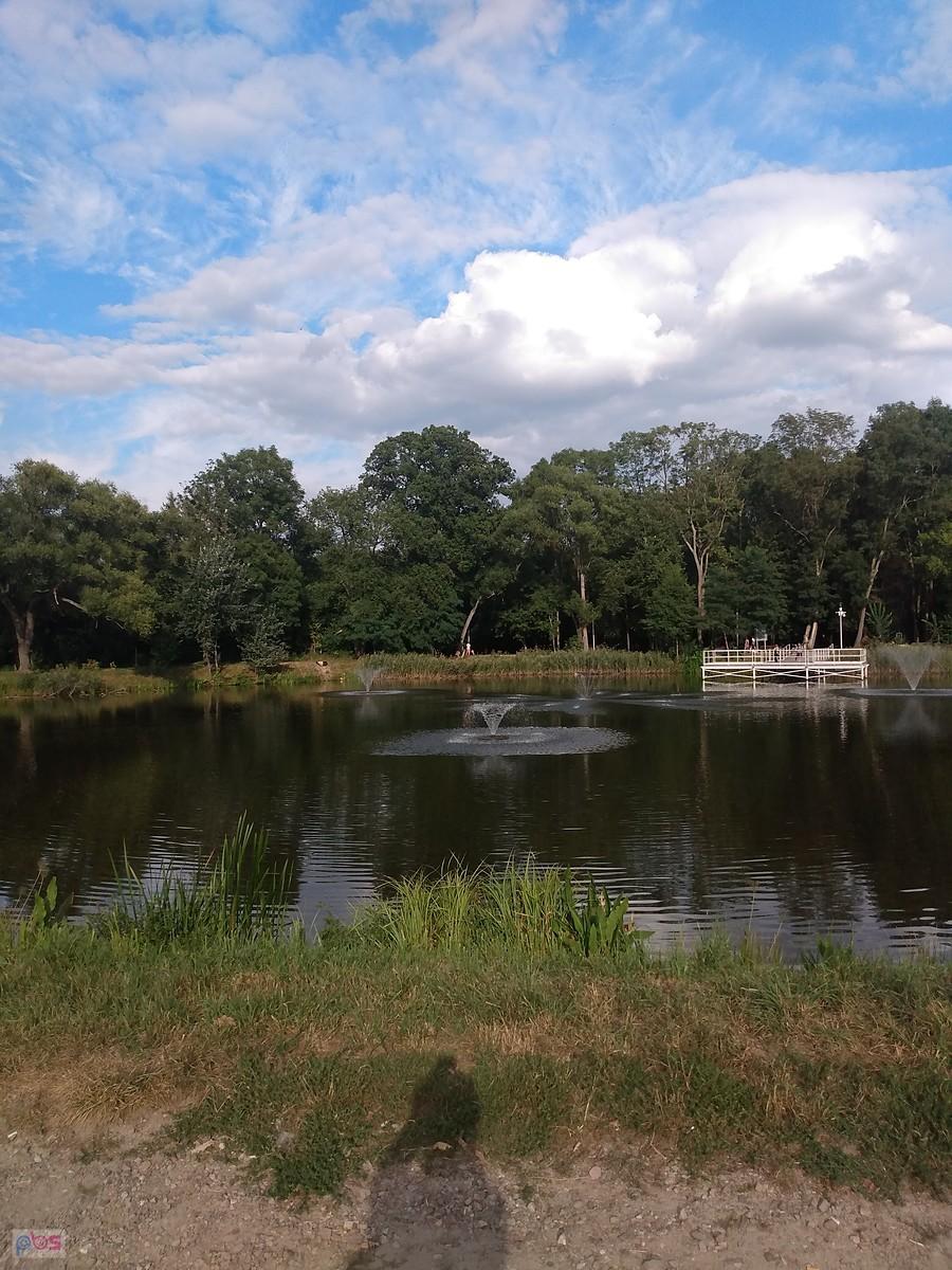 Staw w Ołtarzewie
