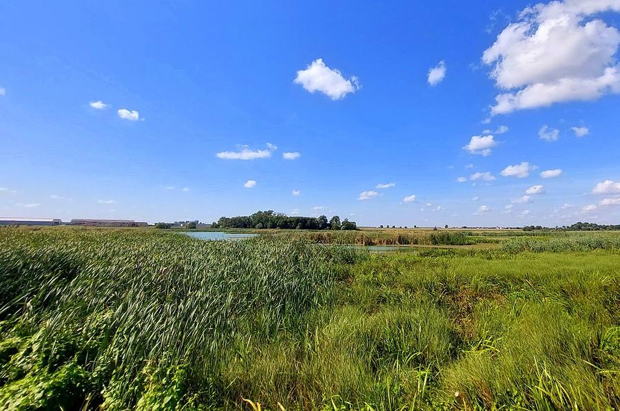 Panorama zalewu w Szczodrzykowie