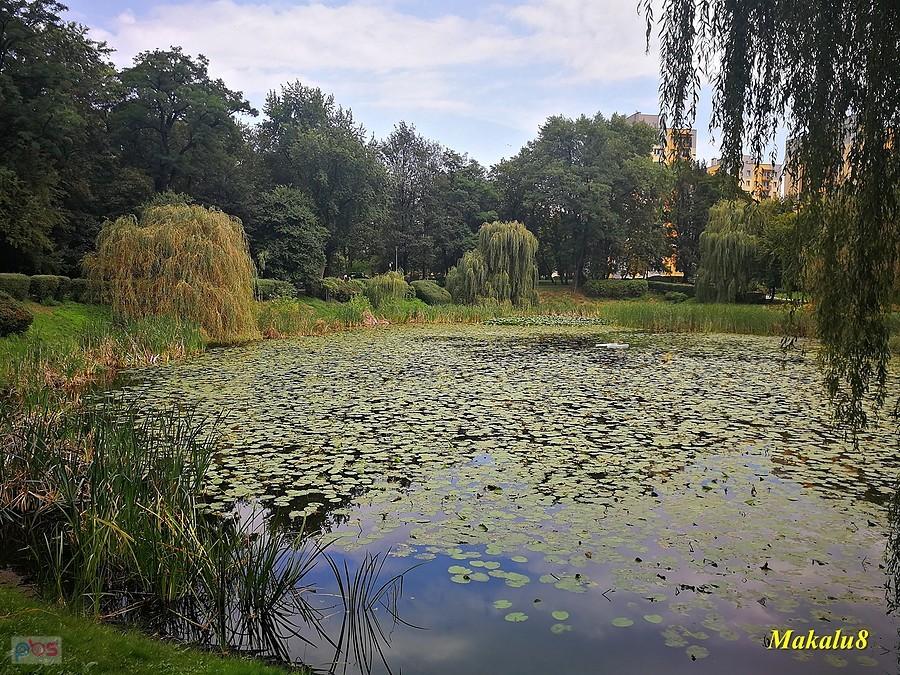 Park Róż w Chorzowie