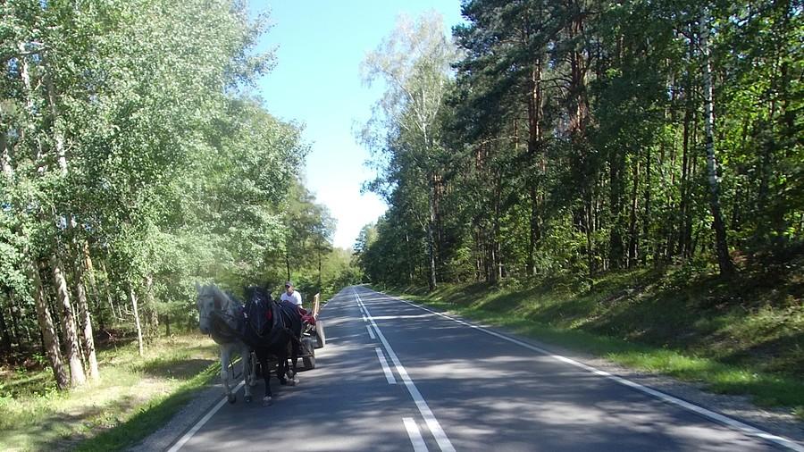 Urwałem konie!
