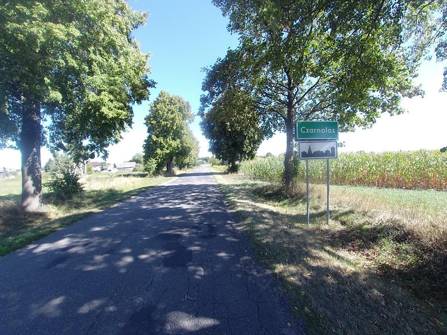 Do Mistrza Jana
