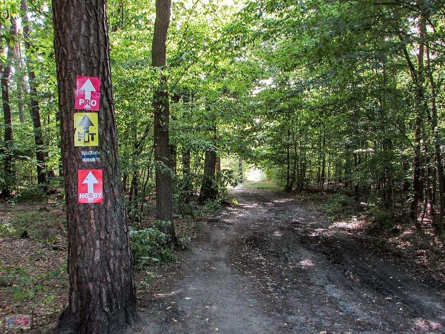Trasa Cisowianka Mazovia MTB Piaseczno
