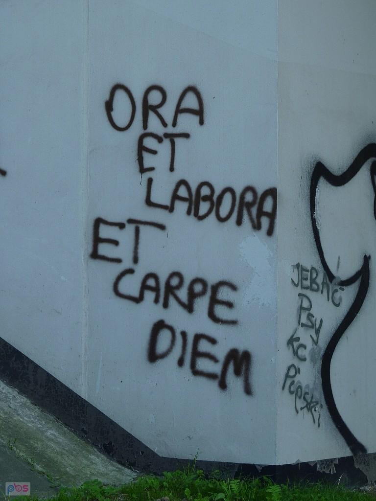 współczesne przykazania tarnogórzan