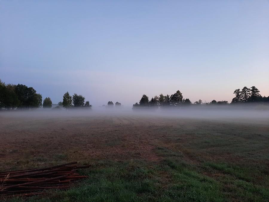 Może nie za ciepło, ale mgliście.