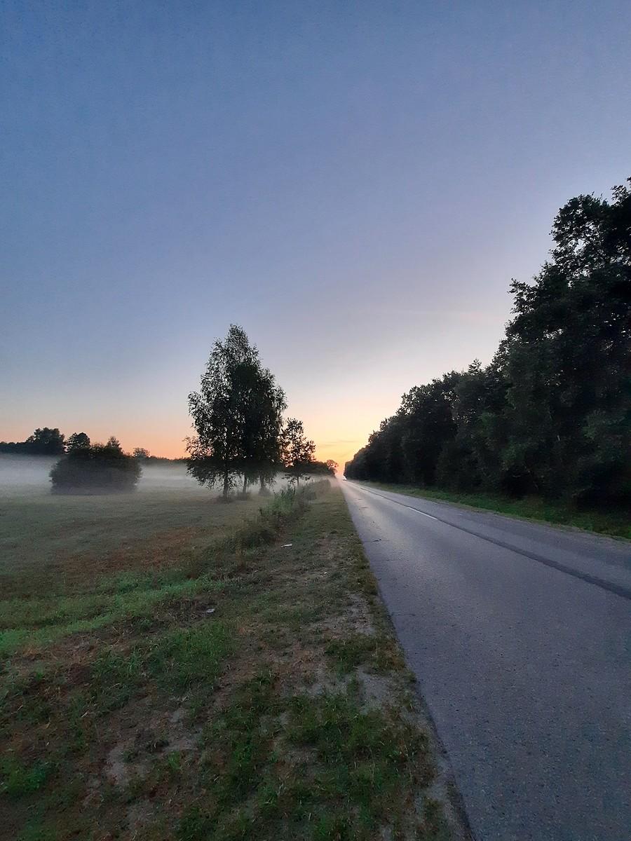 Okolice Nowej Dęby, poligon.