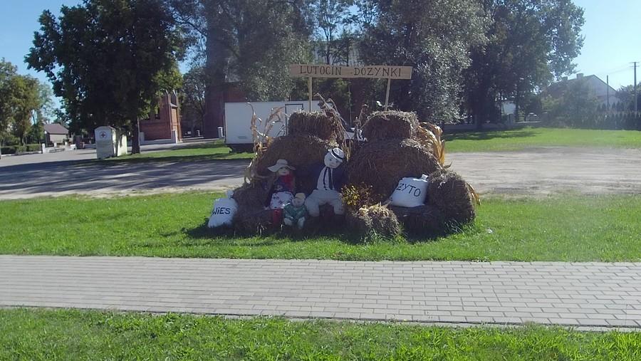 Starosta i Starościna dożynek