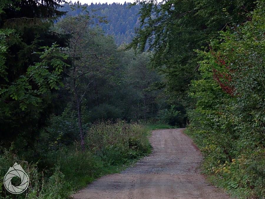 szutrówka na koniec dnia