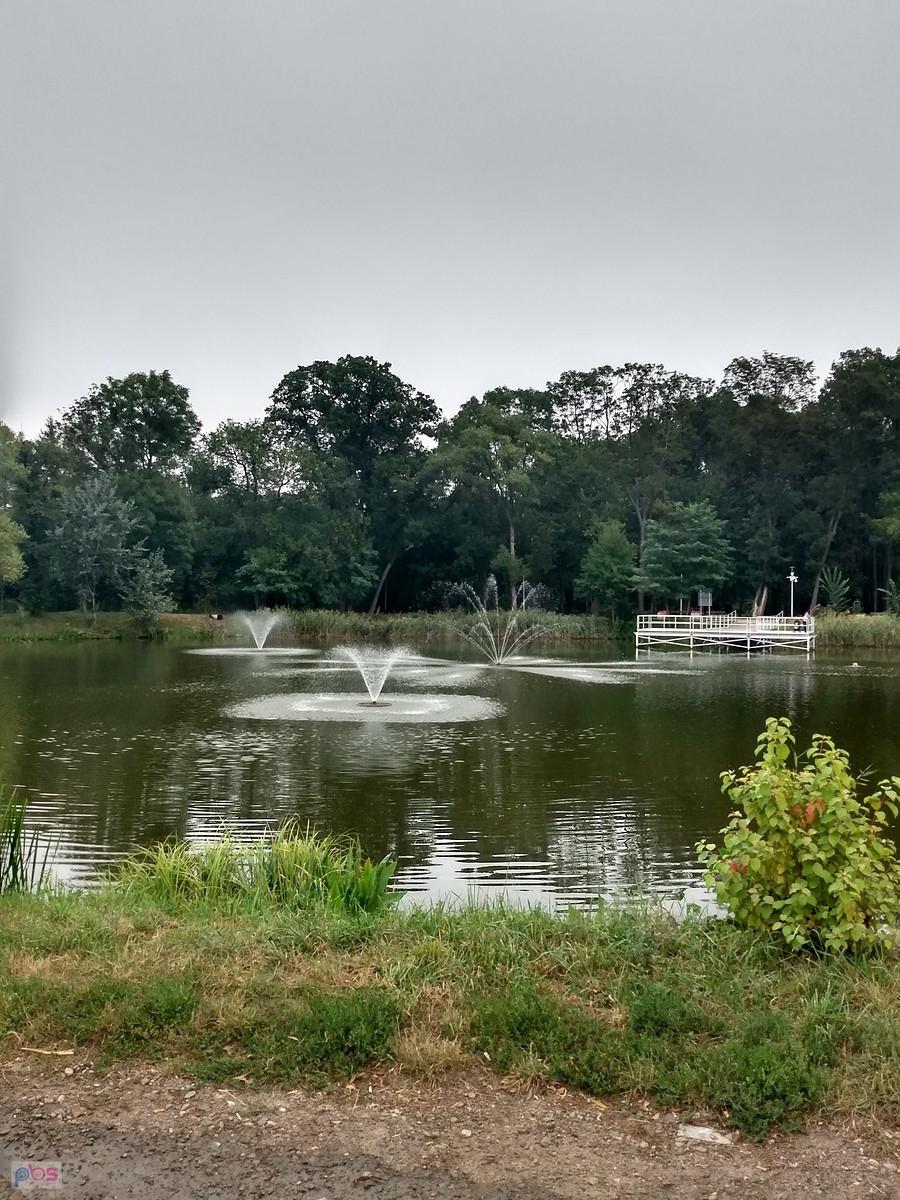 Staw w Ołtarzewie