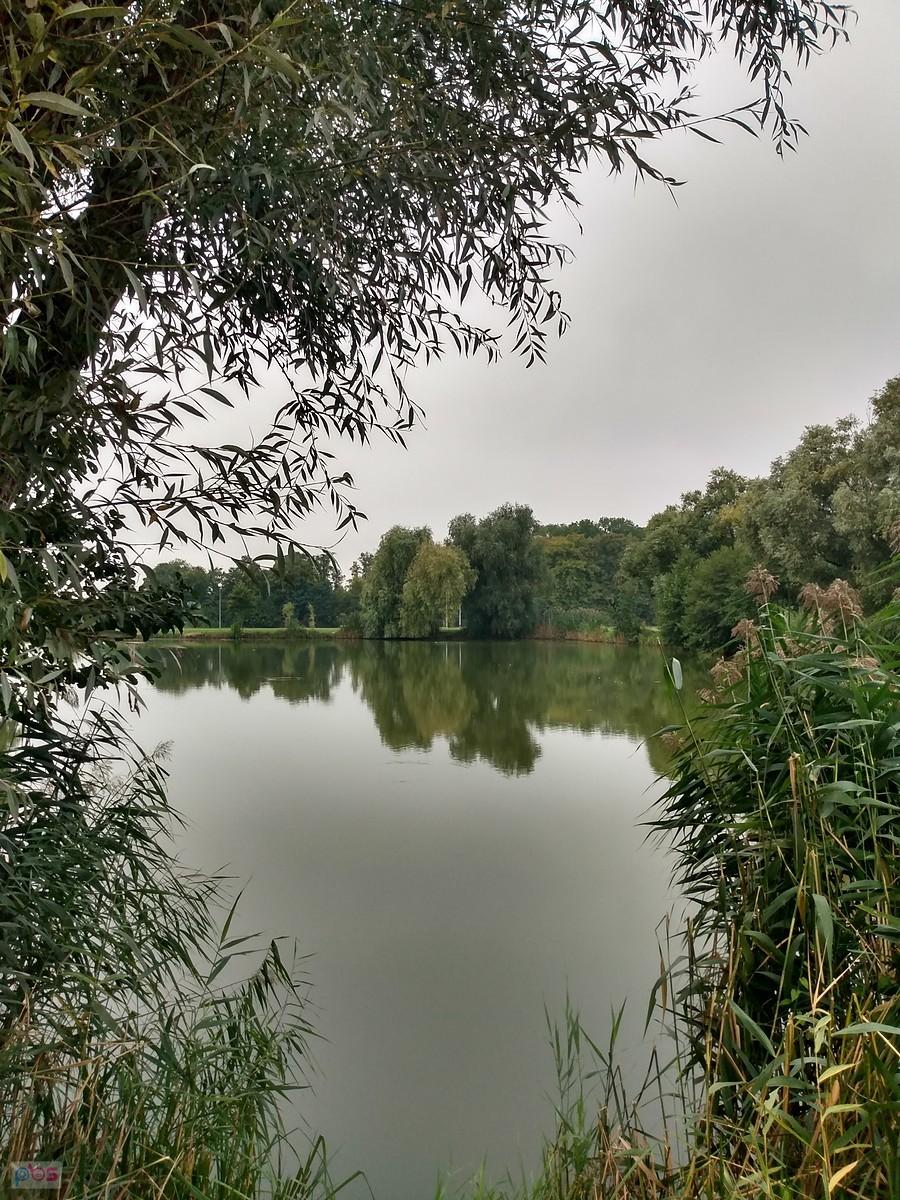 Staw w Zielonkach