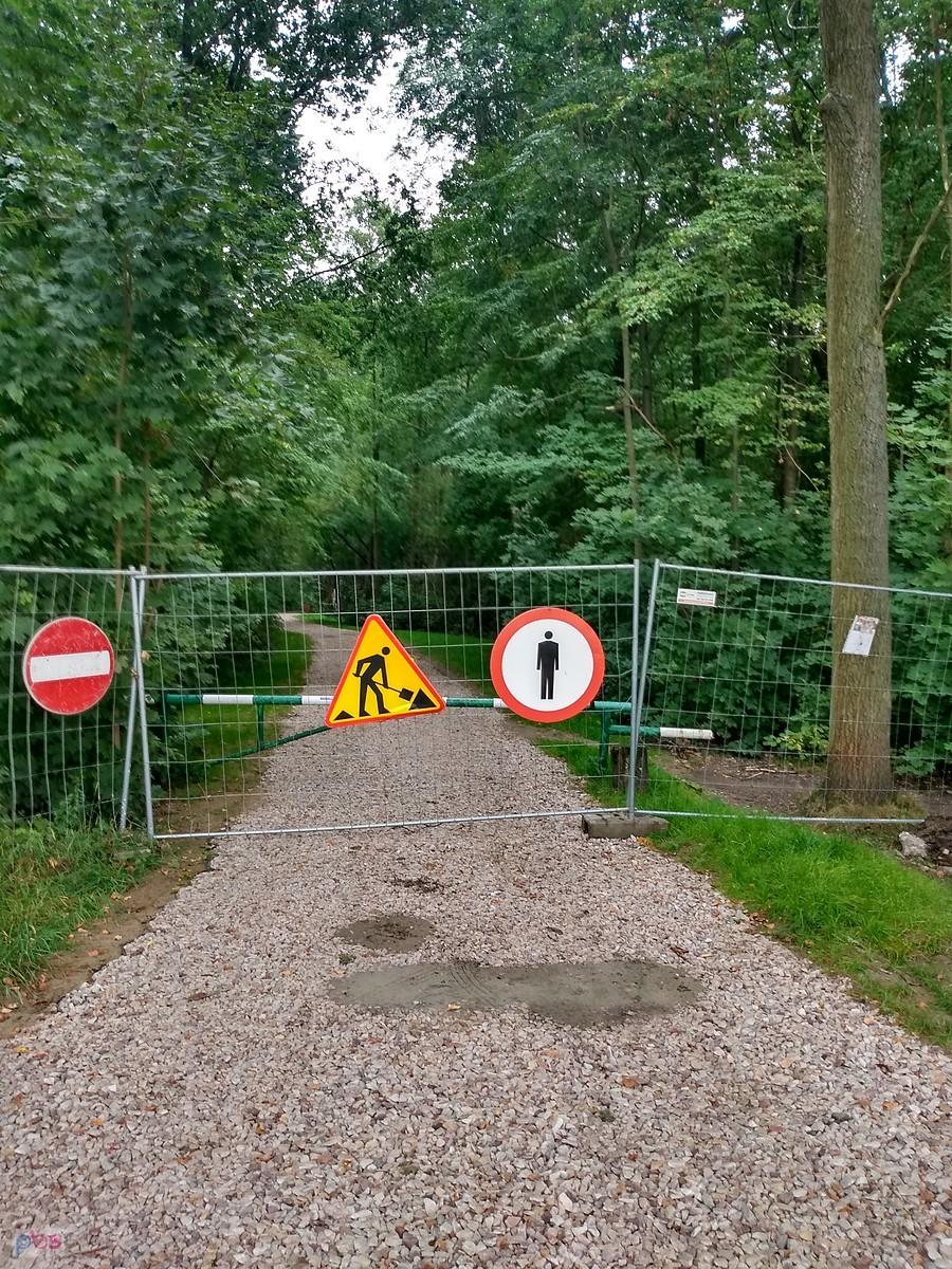 Znowu zamknęli wjazd do lasu, ale olałam zakaz