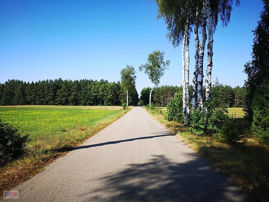 Na szlaku foto Waldek
