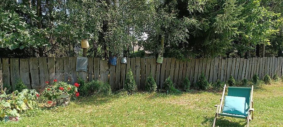 W oczekiwaniu na obiadek - Trześcianka