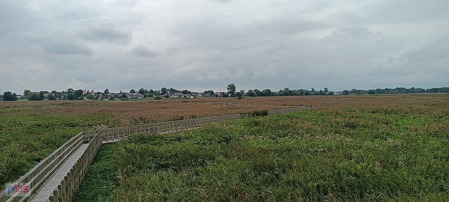 Widok z wieży widokowej