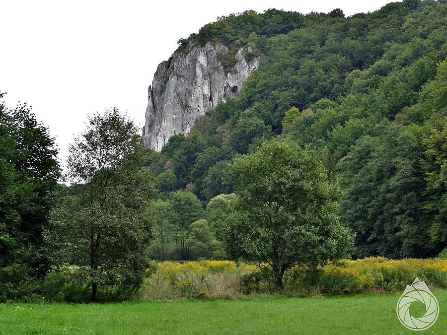 Sokolica będkowska