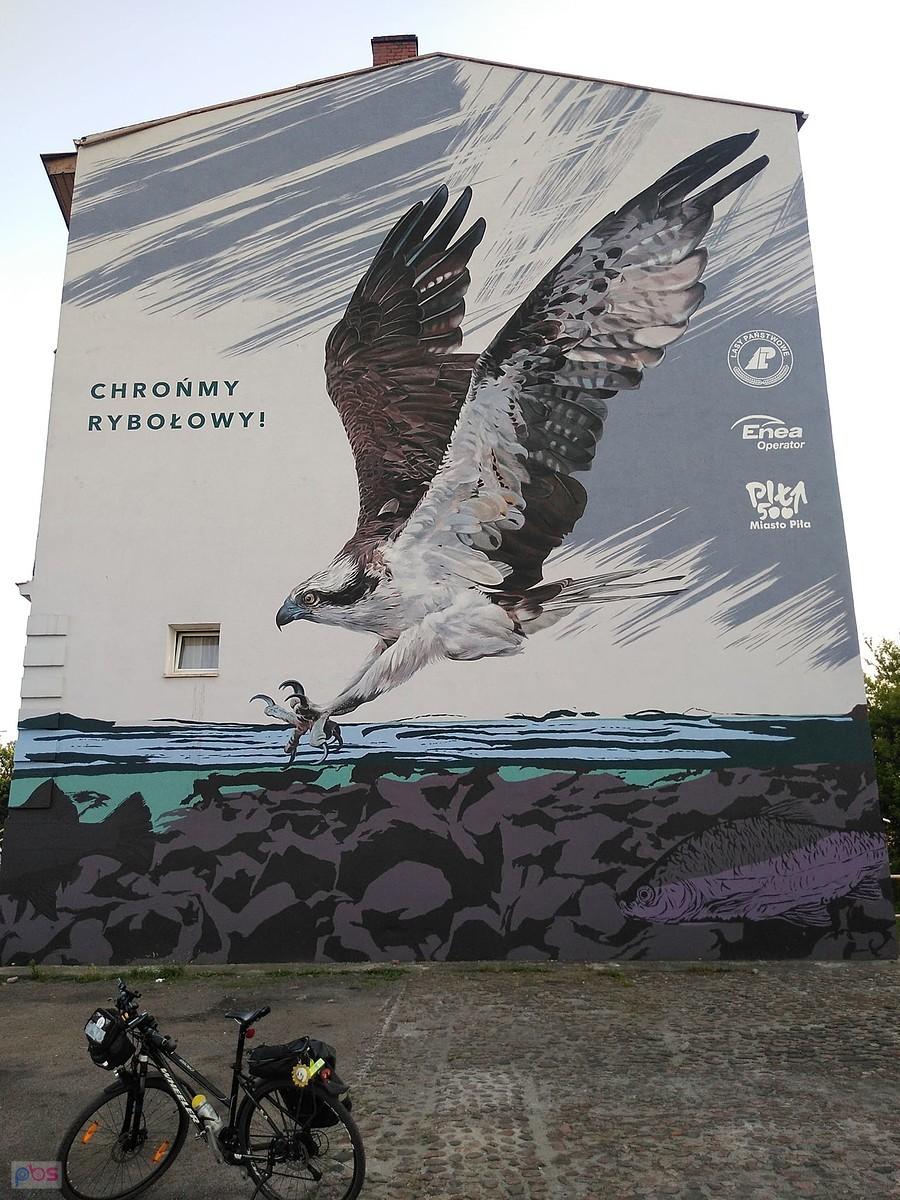 Murale w Pile
