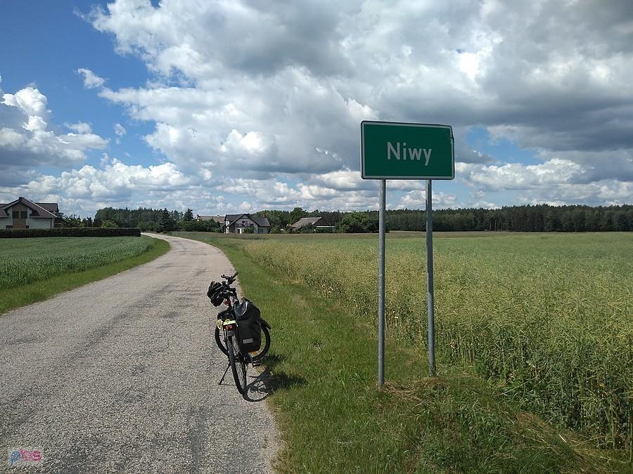 Niwy
