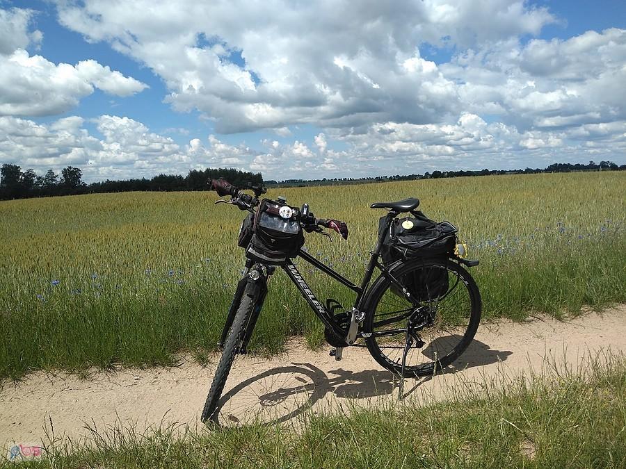 Rower trekkingowy na polnej drodze