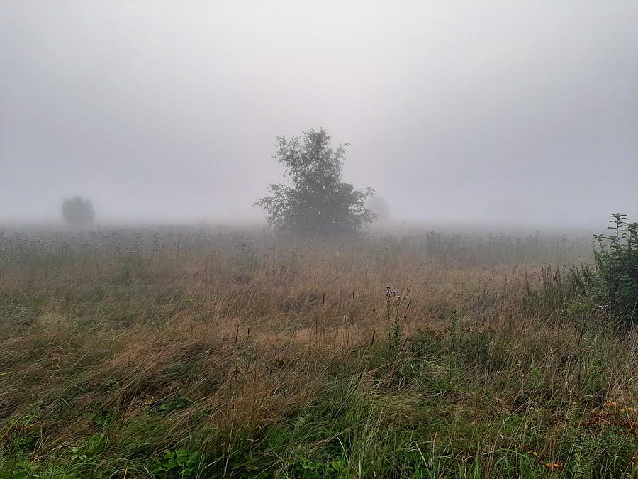 Pogoda zmusza do czekania.