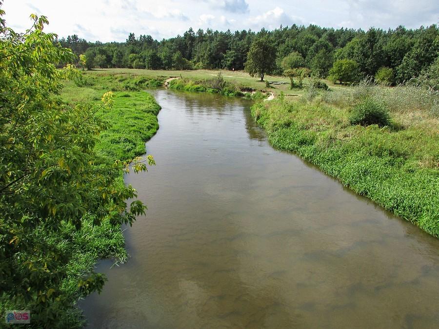 Radomka pod Ryczywołem