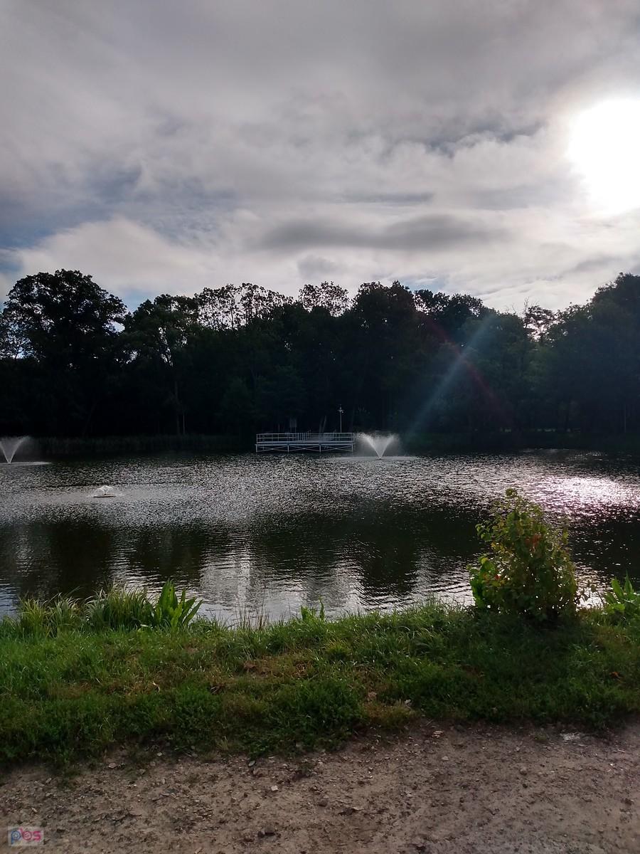 Staw w Ołtarzewie