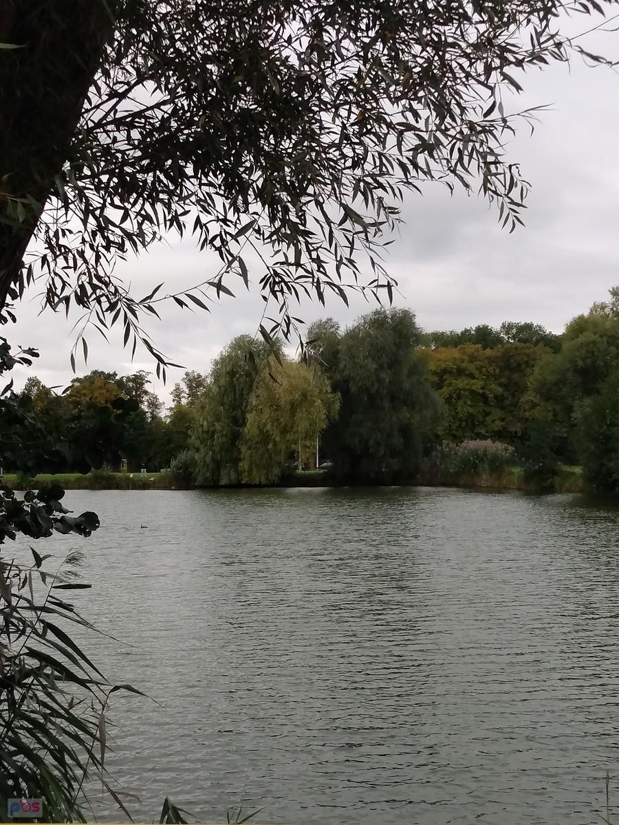 Staw w Zielonkach