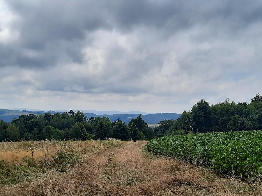 Widok na Pogórze.