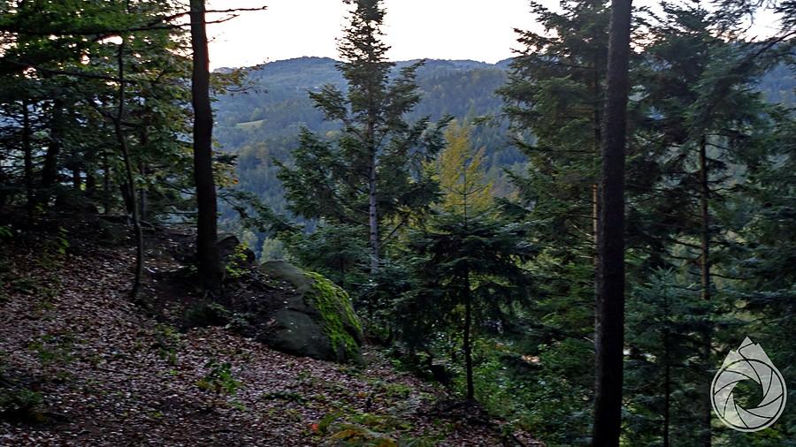 widoczek nad wychodniami skalnymi