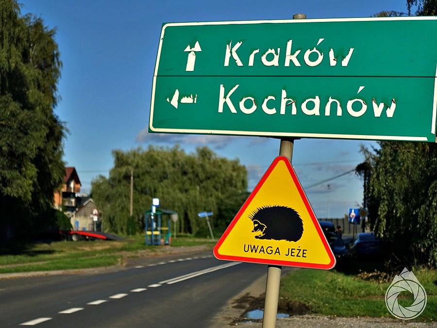 uwaga na te jeże!