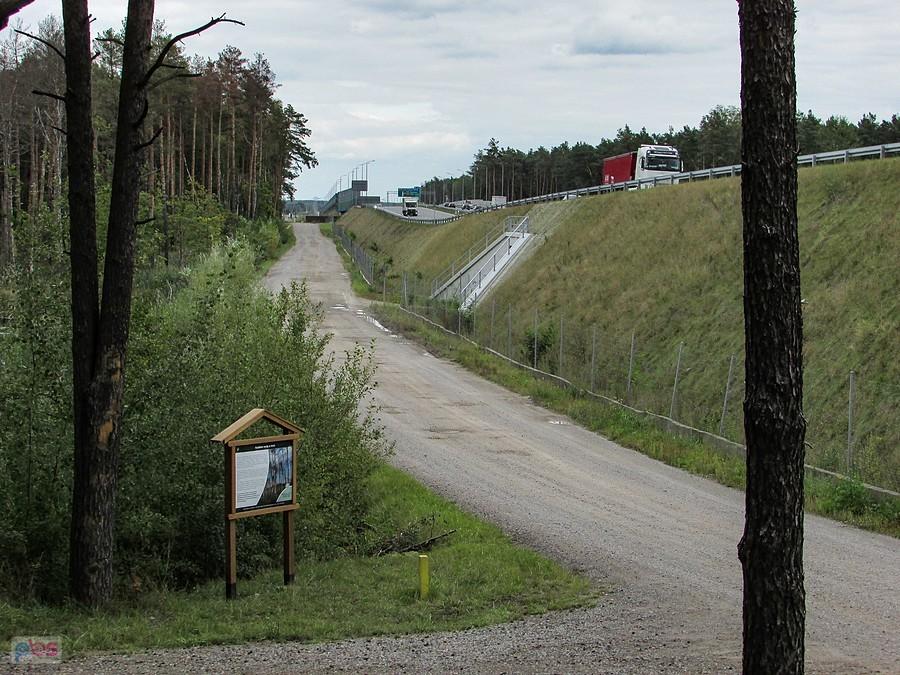 POW przecina tereny Mazowieckiego Parku Krajobrazowego