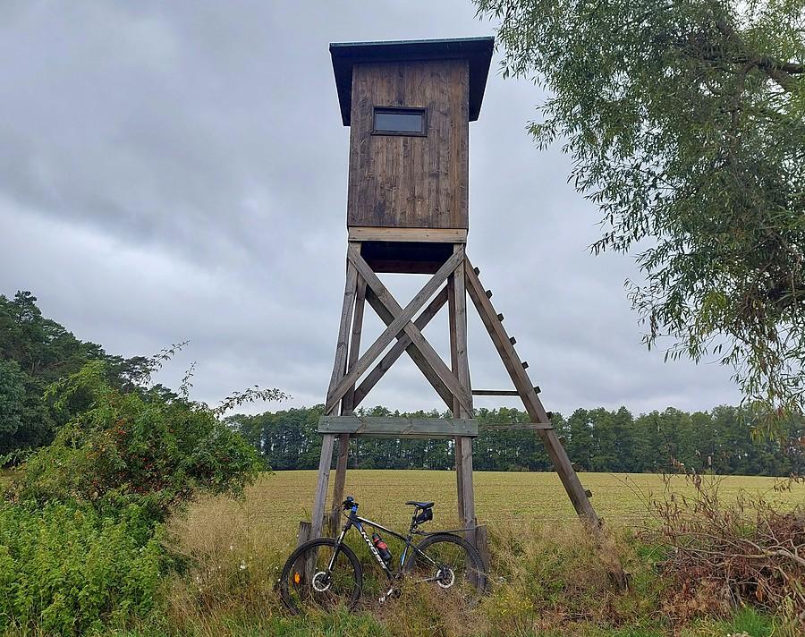Pod amboną, Lisówki