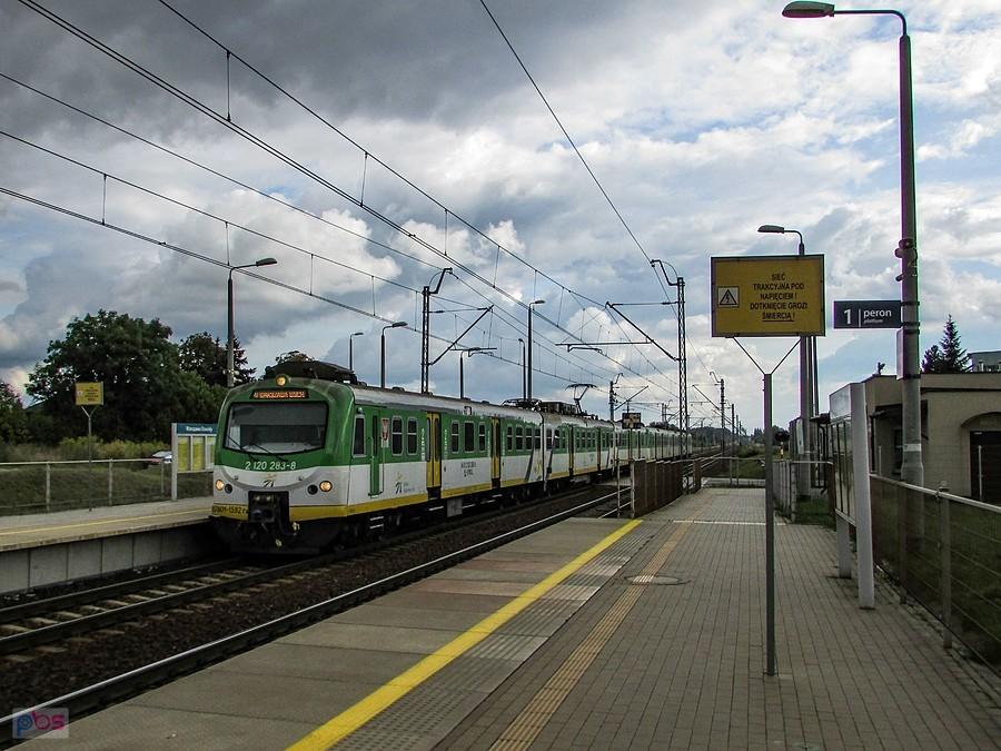 Na przystanek Dawidy wjeżdża pociąg z Góry Kalwarii