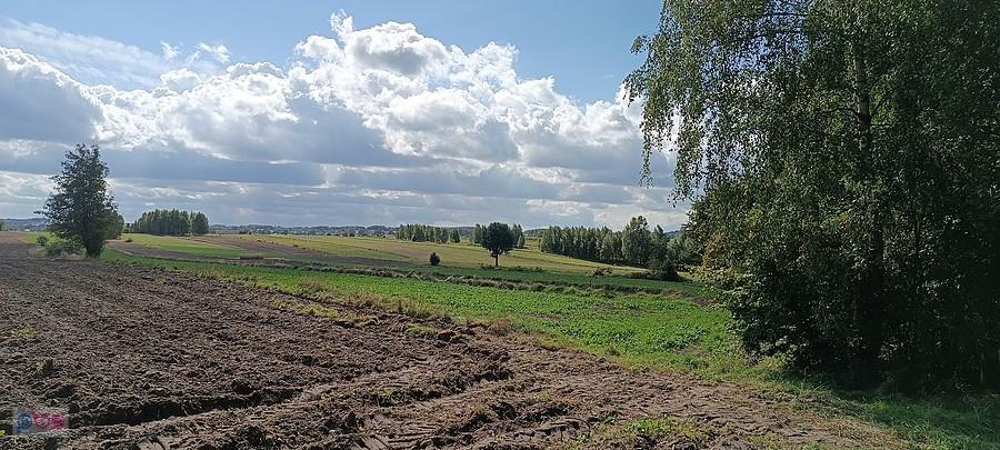 Też gdzieś na trasie. Na tym łączniku