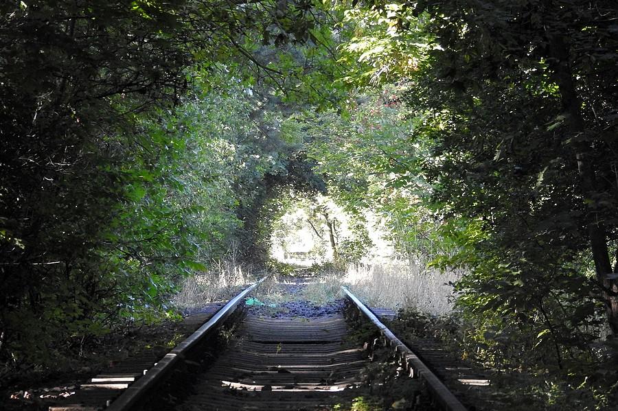 Naturalny tunel na trasie Mosińskiej Kolei Drezynowej