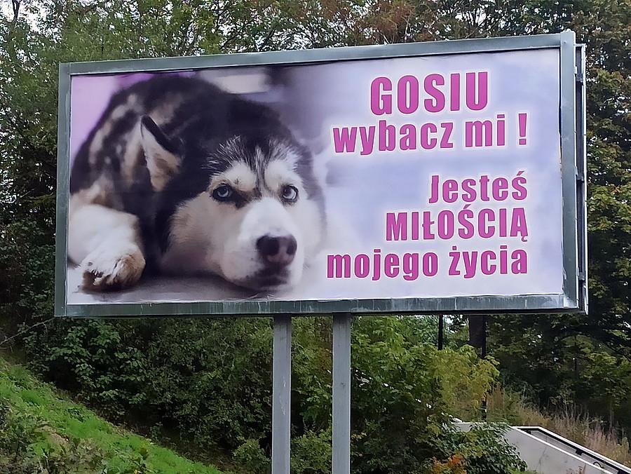 Baner z ulicy Witkiewicza.