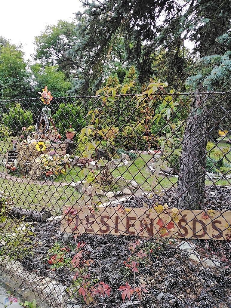 jesień na dzielnicy