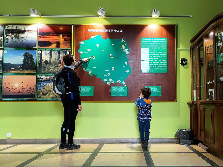 Muzeum Przyrodnicze WPN