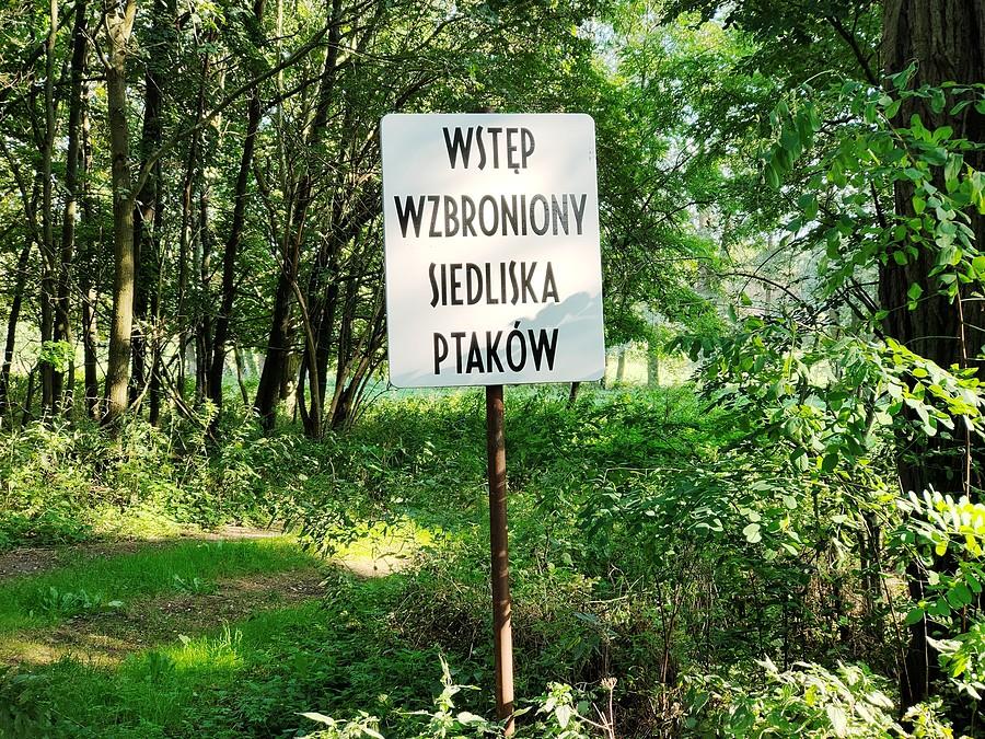Siedliska ptaków pod Trzebawiem