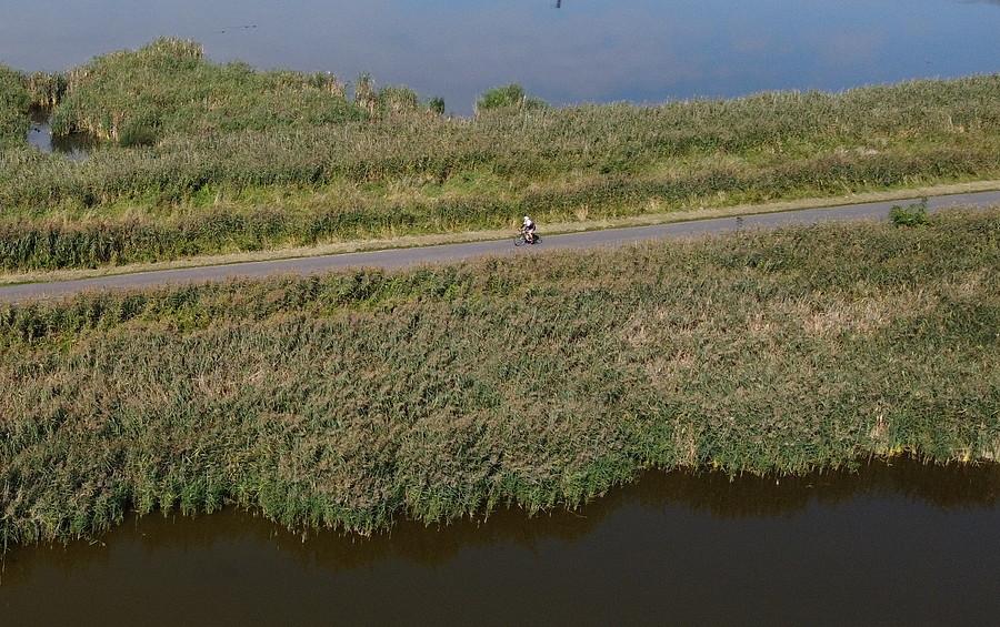 Ujęcie łudząco podobne do florydzkich bagien, brakuje tylko wygrzewajacych się krokodyli :)