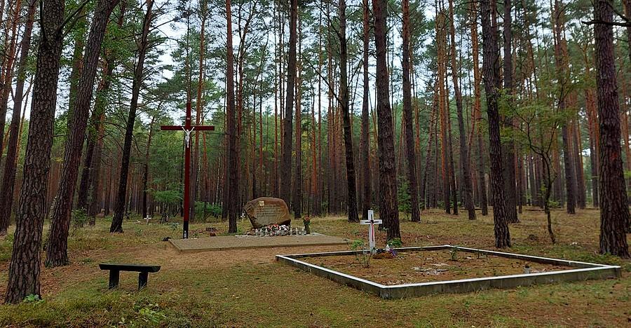 Mogiły w lesie obok Żabna