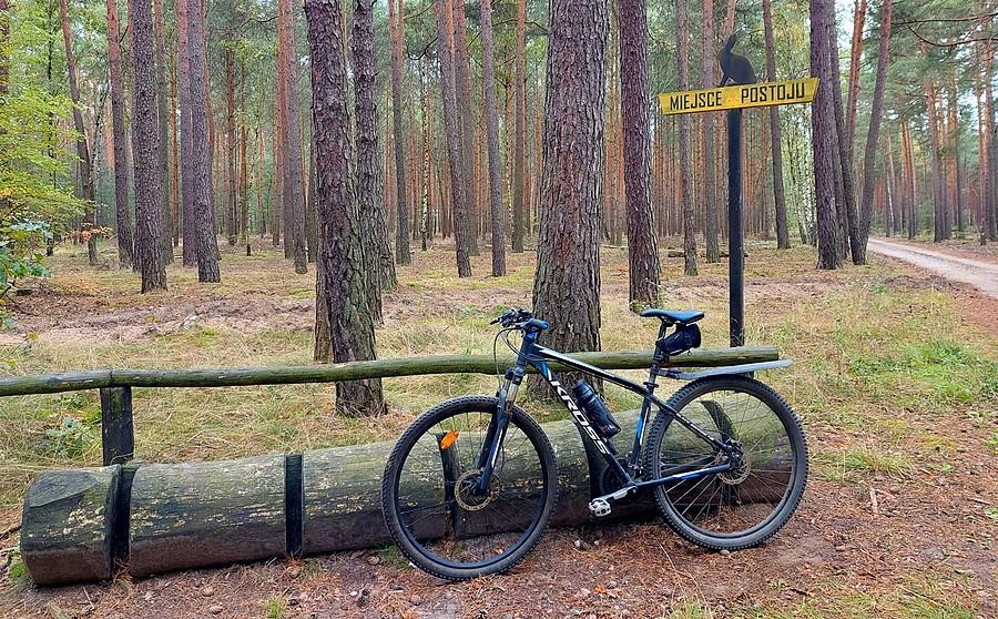 Parking dla rowerów. Koła mtb nie wchodzą, czyli robiony pod szosę :)