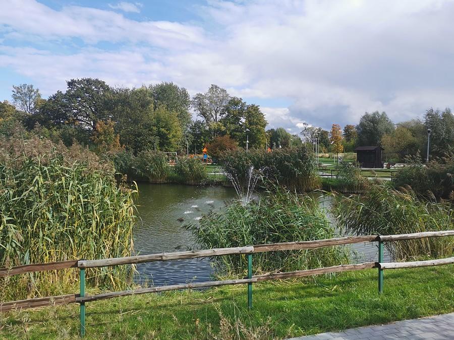 Staw w Borzęcinie